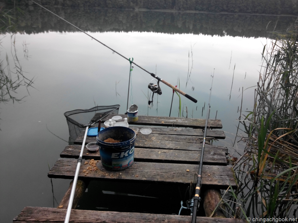 рыбалка фидер на озере